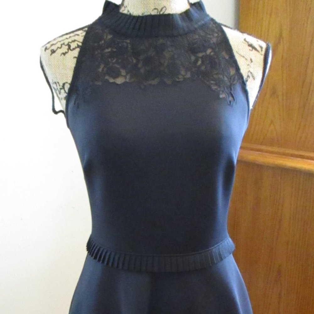 Ted Baker London Zaffron Dress, Black, Lace, Embroidery, Ted Size l-US Size 4